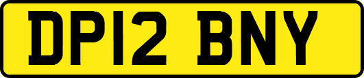DP12BNY