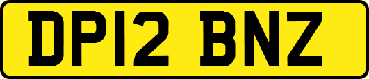 DP12BNZ