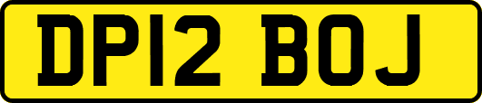 DP12BOJ