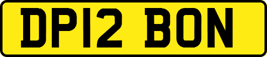 DP12BON