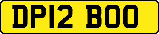 DP12BOO