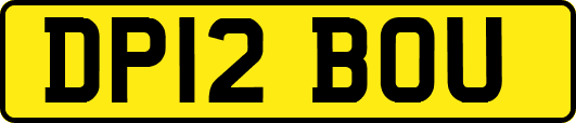DP12BOU