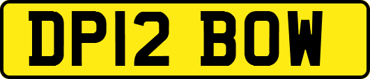 DP12BOW