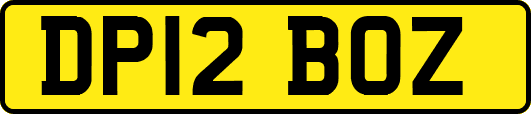 DP12BOZ