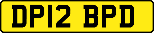 DP12BPD