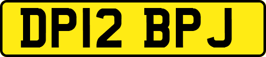 DP12BPJ