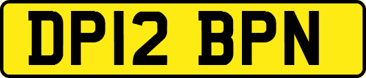 DP12BPN