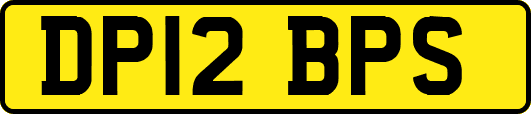DP12BPS