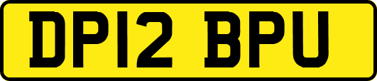 DP12BPU