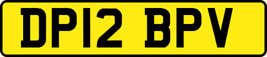 DP12BPV