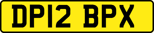 DP12BPX