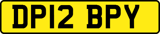DP12BPY
