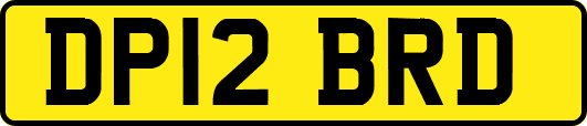 DP12BRD
