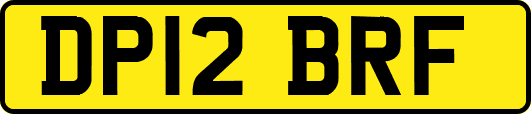 DP12BRF
