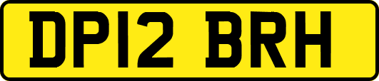 DP12BRH
