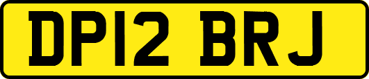 DP12BRJ