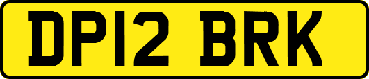 DP12BRK