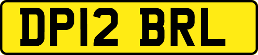 DP12BRL