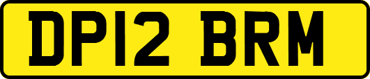 DP12BRM