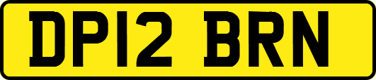 DP12BRN