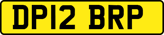 DP12BRP