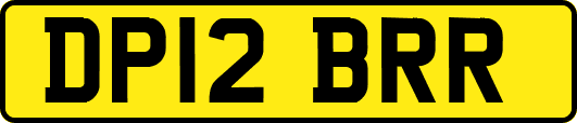 DP12BRR