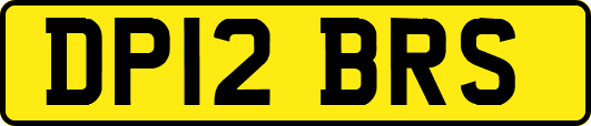 DP12BRS