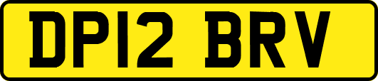 DP12BRV