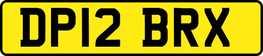 DP12BRX