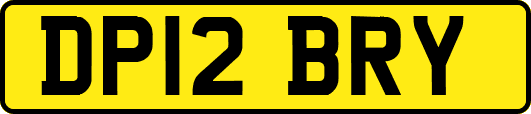 DP12BRY