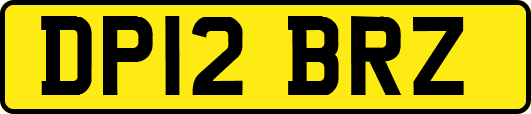 DP12BRZ