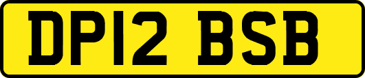 DP12BSB