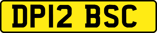 DP12BSC