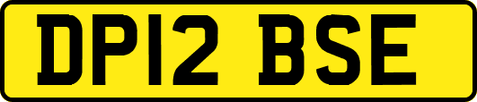 DP12BSE