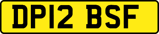 DP12BSF