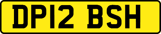 DP12BSH