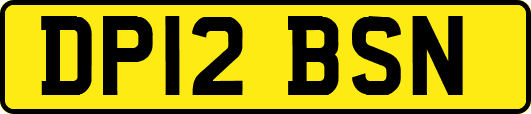 DP12BSN