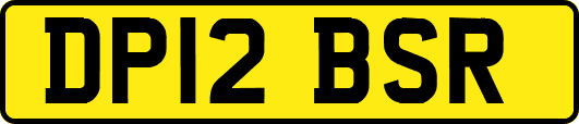 DP12BSR