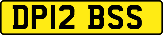 DP12BSS