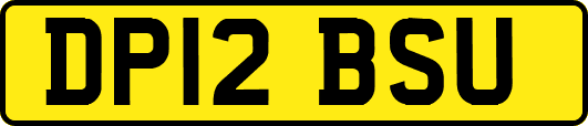 DP12BSU