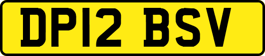 DP12BSV
