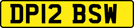 DP12BSW