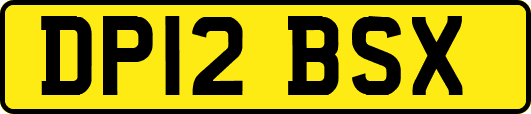 DP12BSX