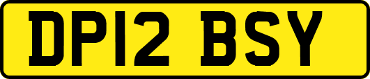 DP12BSY