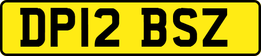 DP12BSZ