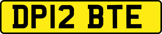 DP12BTE