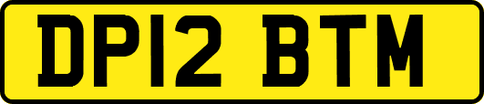DP12BTM