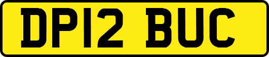 DP12BUC