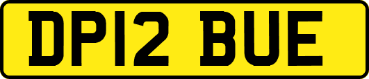 DP12BUE