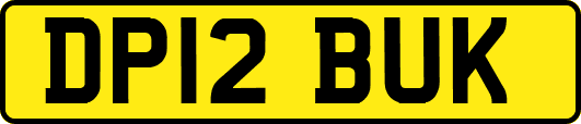 DP12BUK